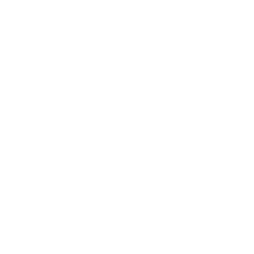 HO Soccer Logo