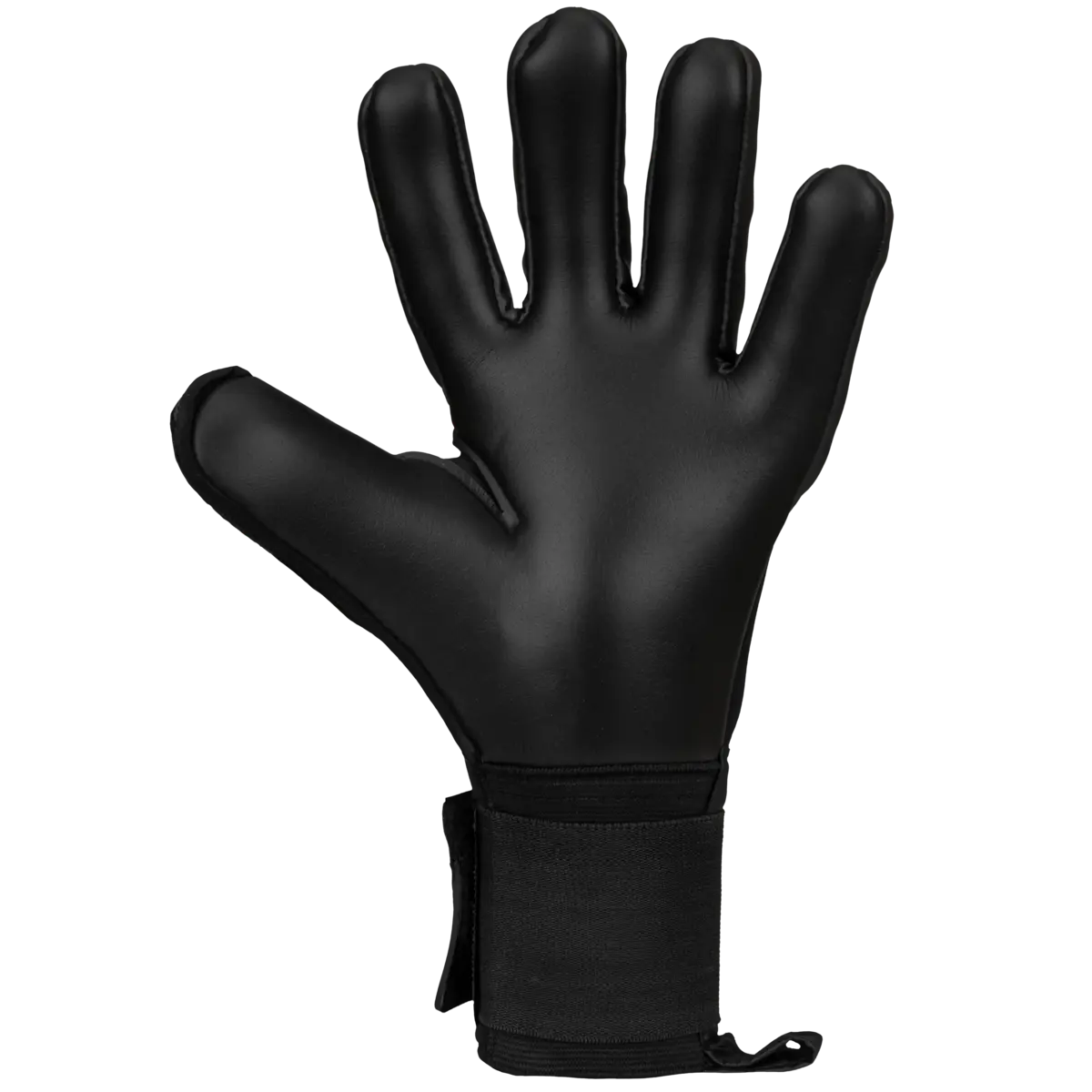 https://palrc.co.uk/wp-content/uploads/products/515137/515137-3.webp